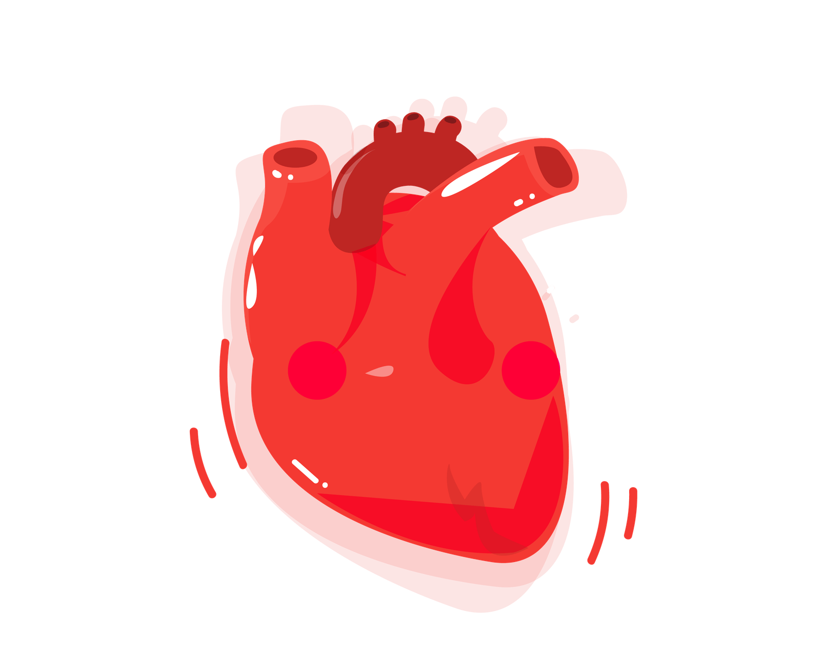 Diagnóstico Cardiovascular (Decorativo)